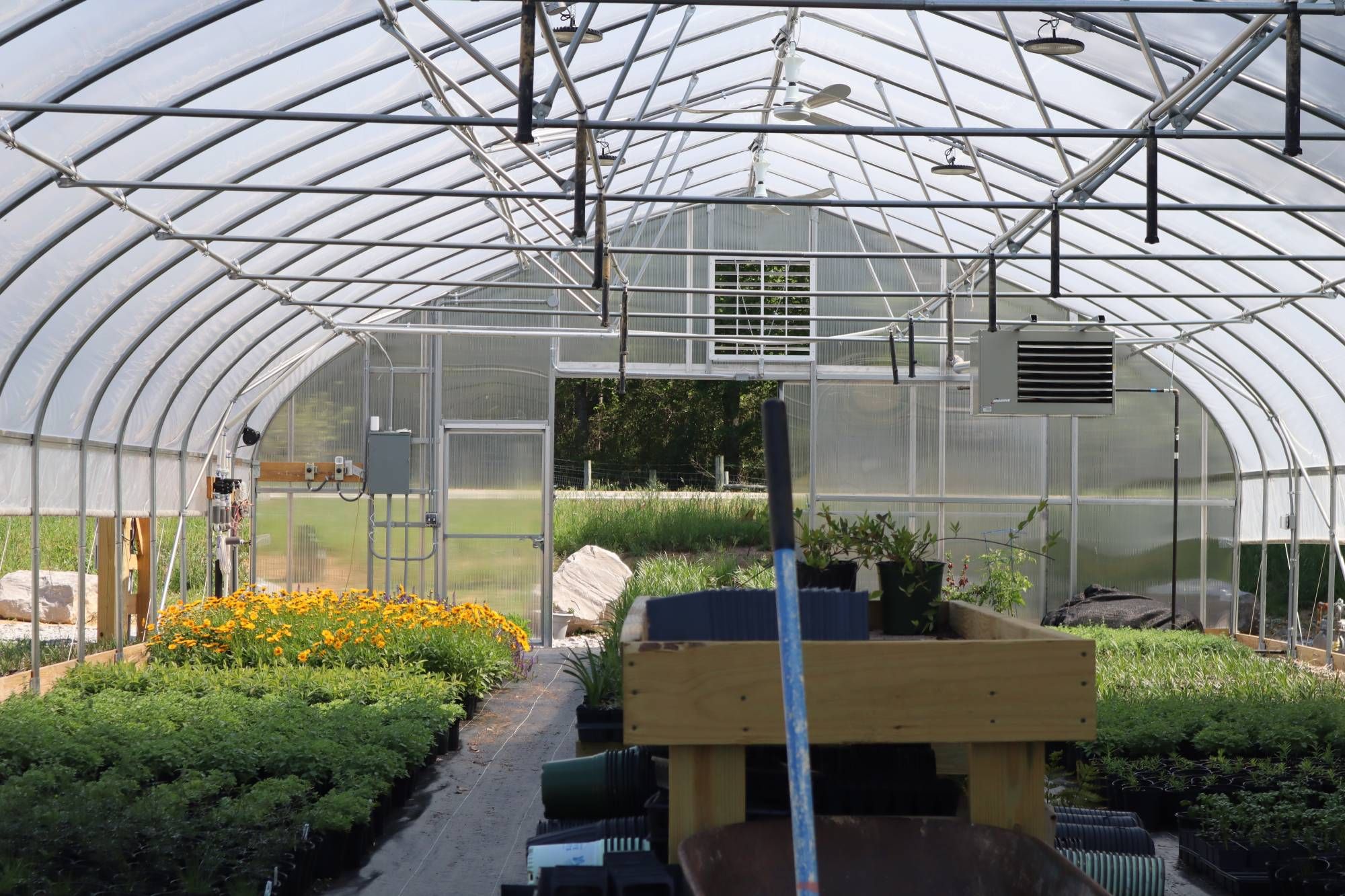 Haller's Nursery Quality Standard - Our Greenhouse