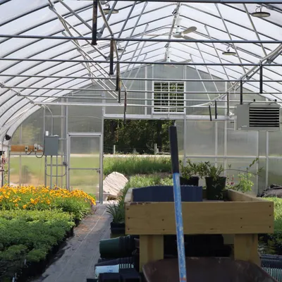 Hallers Greenhouse.jpg