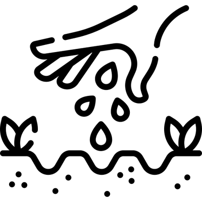 growing-seed.png