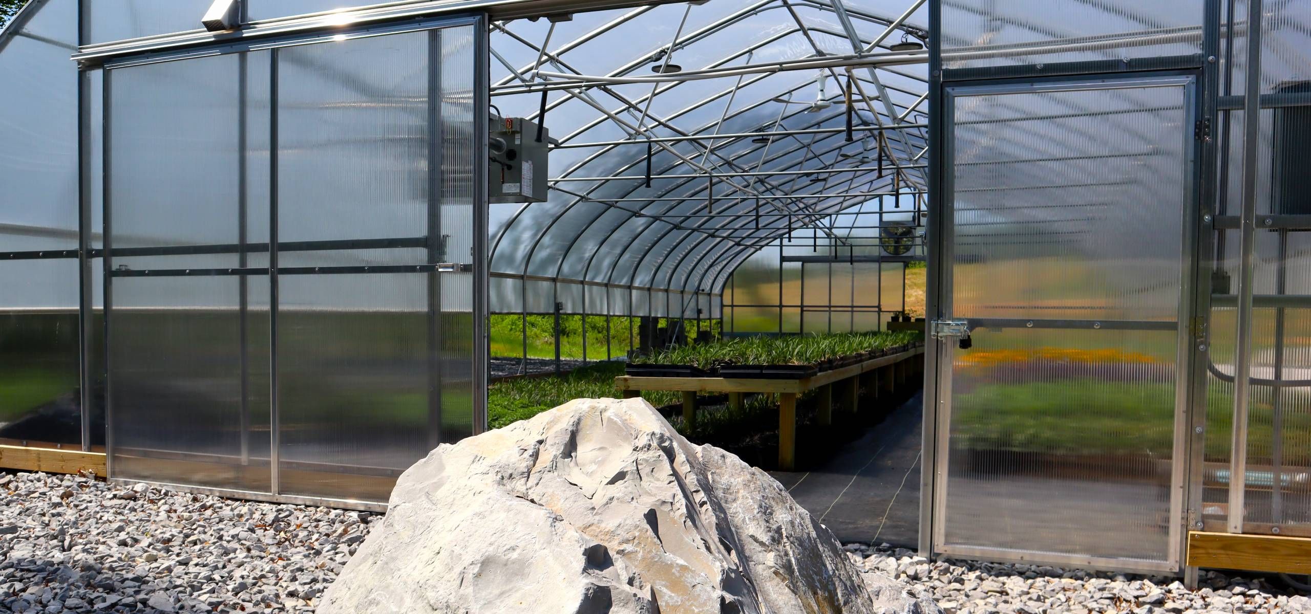 Inside the Haller's Landscaping commercial greenhouse nursery